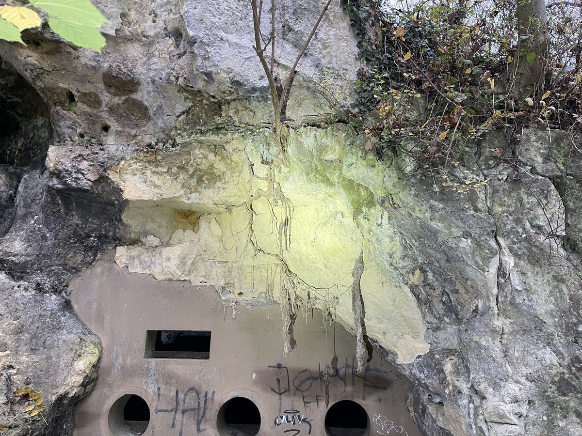 <a href="/limburg/">Provincie Limburg</a> Locatie: Keerderberggroeve Vrije toegang voor wandelaars, massief staat op afschuiven door wortelvorming en het loslaten van de zogeheten ‘touwlaag’. Bomen boven de openingen rooien en ondertussen even afzetten. Deze kan lelijke botbreuken geven. Dodelijk voor honden