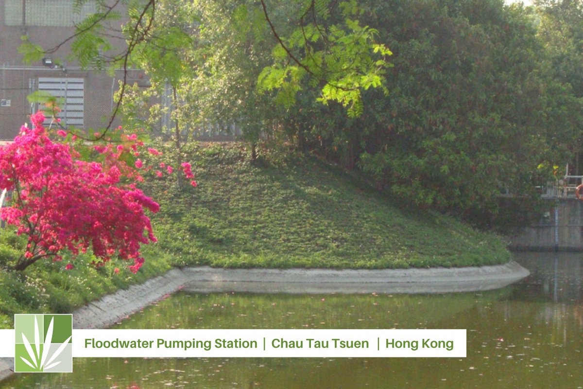 Slope protection with a natural touch.

At Chau Tau Tsuen in HK, 6,700 m² of Grasscrete GC3 supports flood control while nurturing wetland culture &amp; native Camellias.

Smart engineering, beautiful results.

🔗 grasscrete.com/projects/ 

#FloodResilience #SlopeProtection