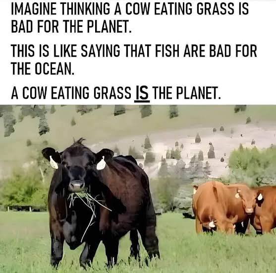 No Farmers, No Food (@nofarmsnofoods) on Twitter photo 