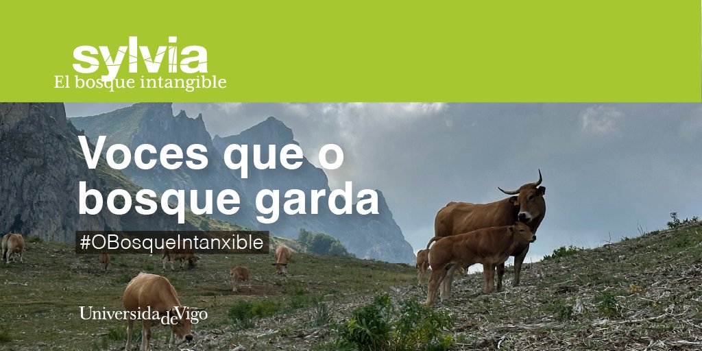Que pasaría se o espiritual e cultural contase tanto coma o económico? Sylvia amplía o concepto de sustentabilidade.🧵
#OBosqueIntanxible #SustentabilidadePlena #IdentidadeNatural
<a href="/PEFCSpain/">PEFC España</a> <a href="/jpicos13/">Juan Picos</a> <a href="/aranmontes/">Arantza Pérez Oleaga</a> <a href="/EdRojasBr/">Eduardo Rojas Briales</a> <a href="/AnaBNoriega/">Ana Belén Noriega</a>