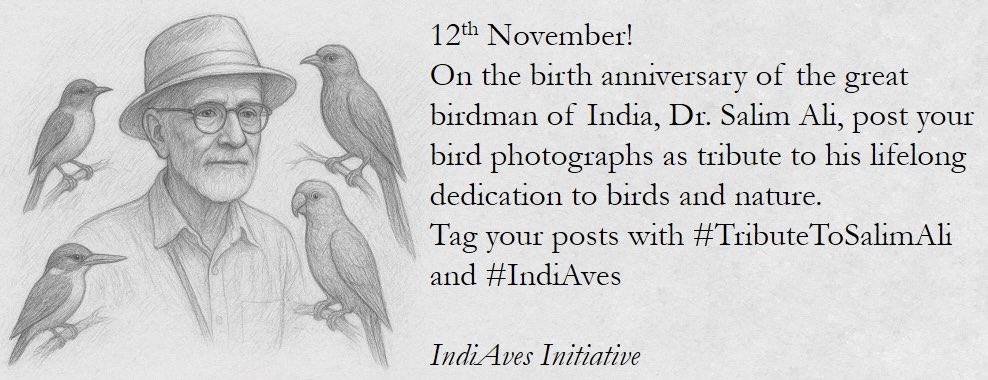 After 129 years of his birth, his legacy still continues to motivate bird enthusiasts! 
A theme dedicated to the birdman of India.
Tag your posts with #TributeToSalimAli and #IndiAves