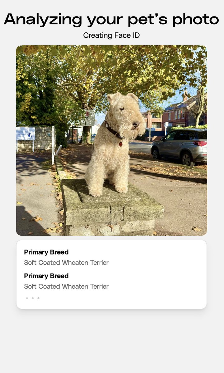 Petastic tweet media