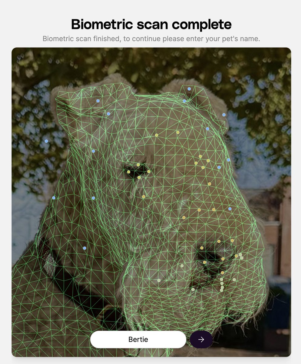 Petastic tweet media