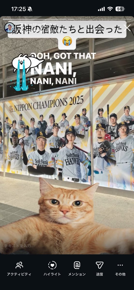 ホテル着いて、会社の阪神ファンの子にかわいく猫ミーム風にしたこの写真送ったら「💢」だけ返信きた🤣笑

会食、頑張って飲んで次に繋げてきます🍺