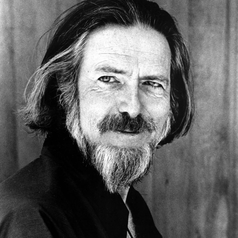 "Hiçbir miktarda kaygı, olacak hiçbir şeyi değiştirmez."

— Alan Watts