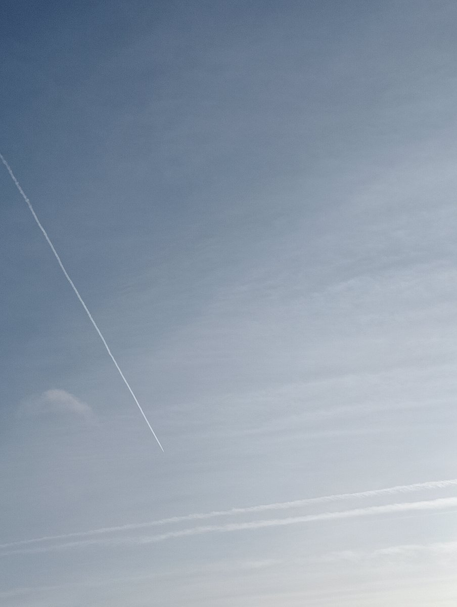 Lavante21575499's tweet image. The Netherlands, November 11th. Agenda 2030 depopulation agenda in full swing. #geoengineering #bioterrorism