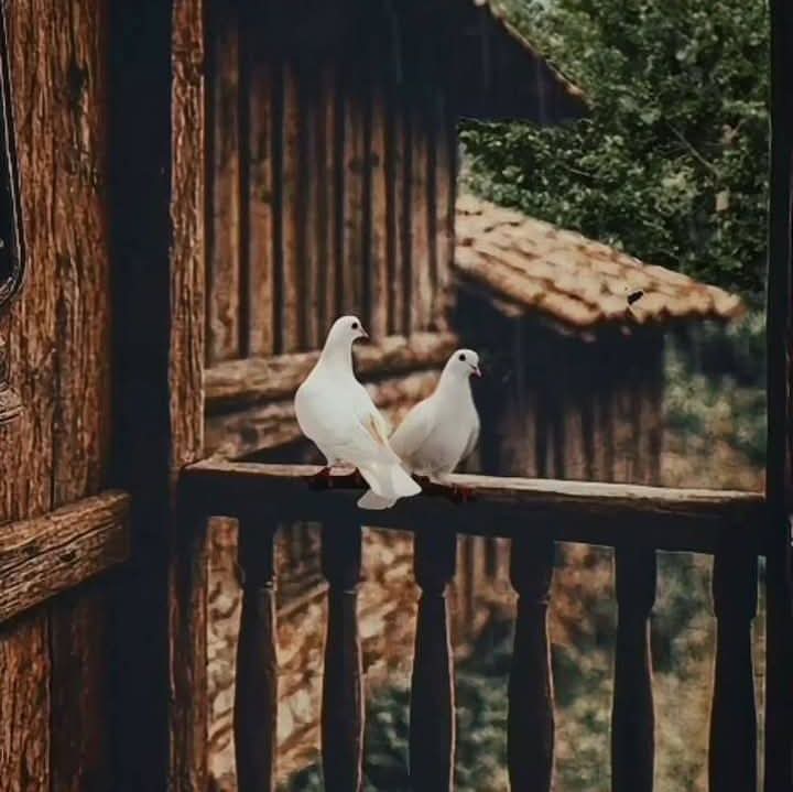 ٰ
                     دائمًا اقتربوا....
           من كُلِّ الأشياءِ التي تجعلكم...
   تشعرُون بالحياة حتَّىٰ لو كانت بسيطةً...!!
     حافظوا علىٰ وجودكم حول أشخاصٍ..
             مشرقين ممتلئين بالحُب....
                   يفيضون بالعطاء...