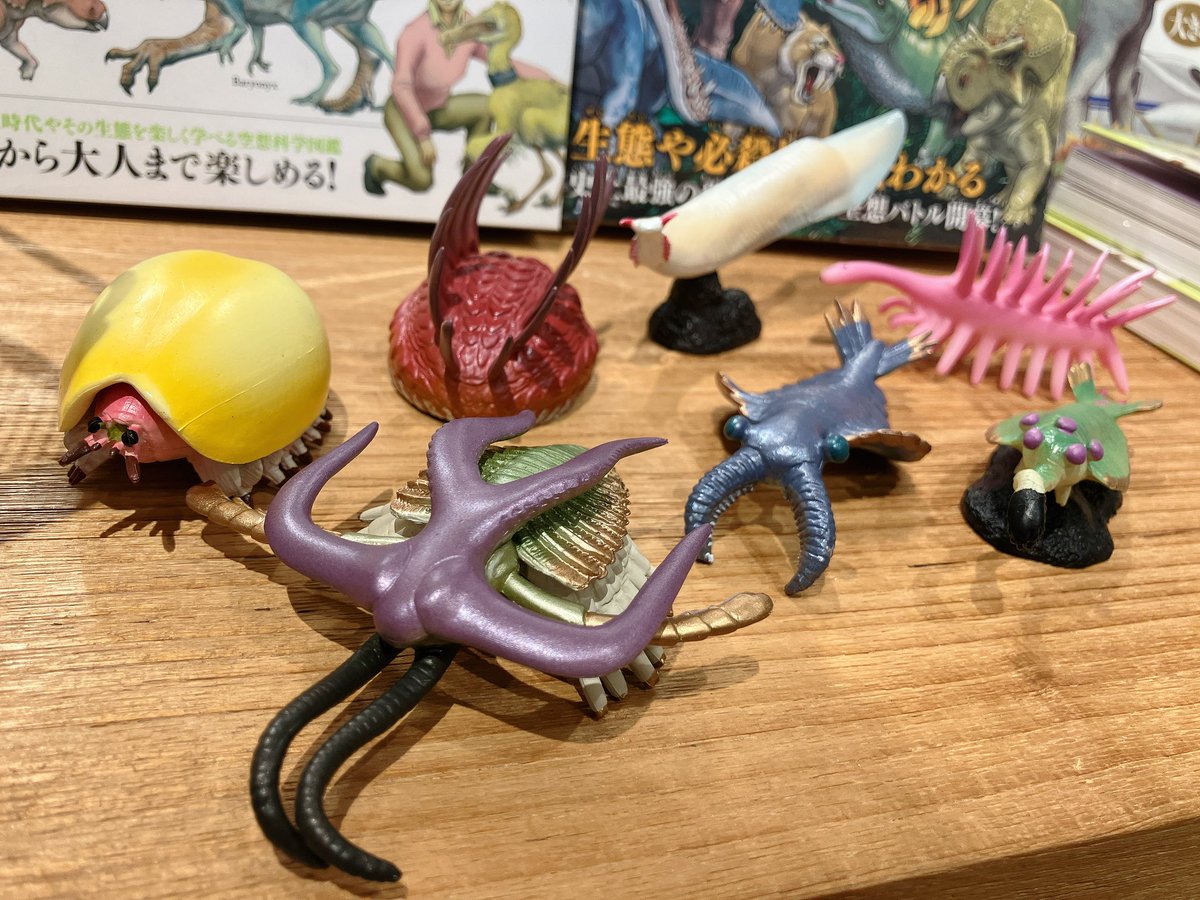 店長が遠洋漁業頑張ってくれたので、カンブリアモンスターたちもやってきました🚢

オパビニアや三葉虫はほぼ実物大！実際のハルキゲニアはこれよりももっと小さいとか…面白い子たちばかりですね〜！

皆さんのお家でカンブリアモンスターたちを飼ってみませんか？✨

スタッフ🐍