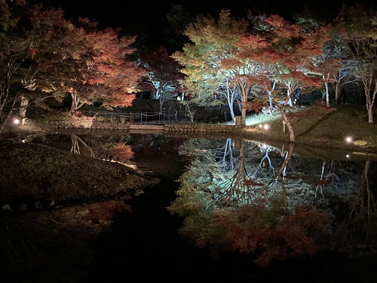 kuretake2985's tweet photo. こんばんは🌛寸又峡草履石公園の本日の状況です✨🍁
来訪の参考になれば幸いですm(_ _)m🍁🐶 https://t.co/iy24Ycxsoo