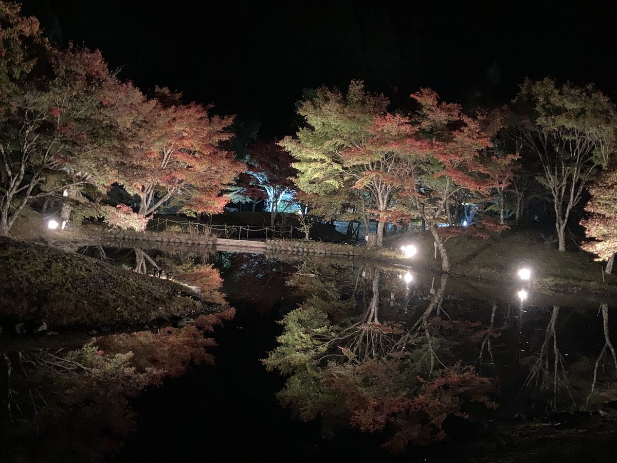 kuretake2985's tweet photo. こんばんは🌛寸又峡草履石公園の本日の状況です✨🍁
来訪の参考になれば幸いですm(_ _)m🍁🐶 https://t.co/iy24Ycxsoo