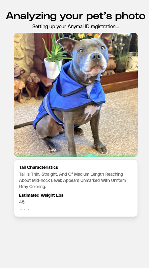 Petastic tweet media