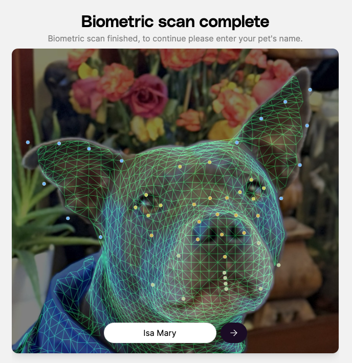 Petastic tweet media