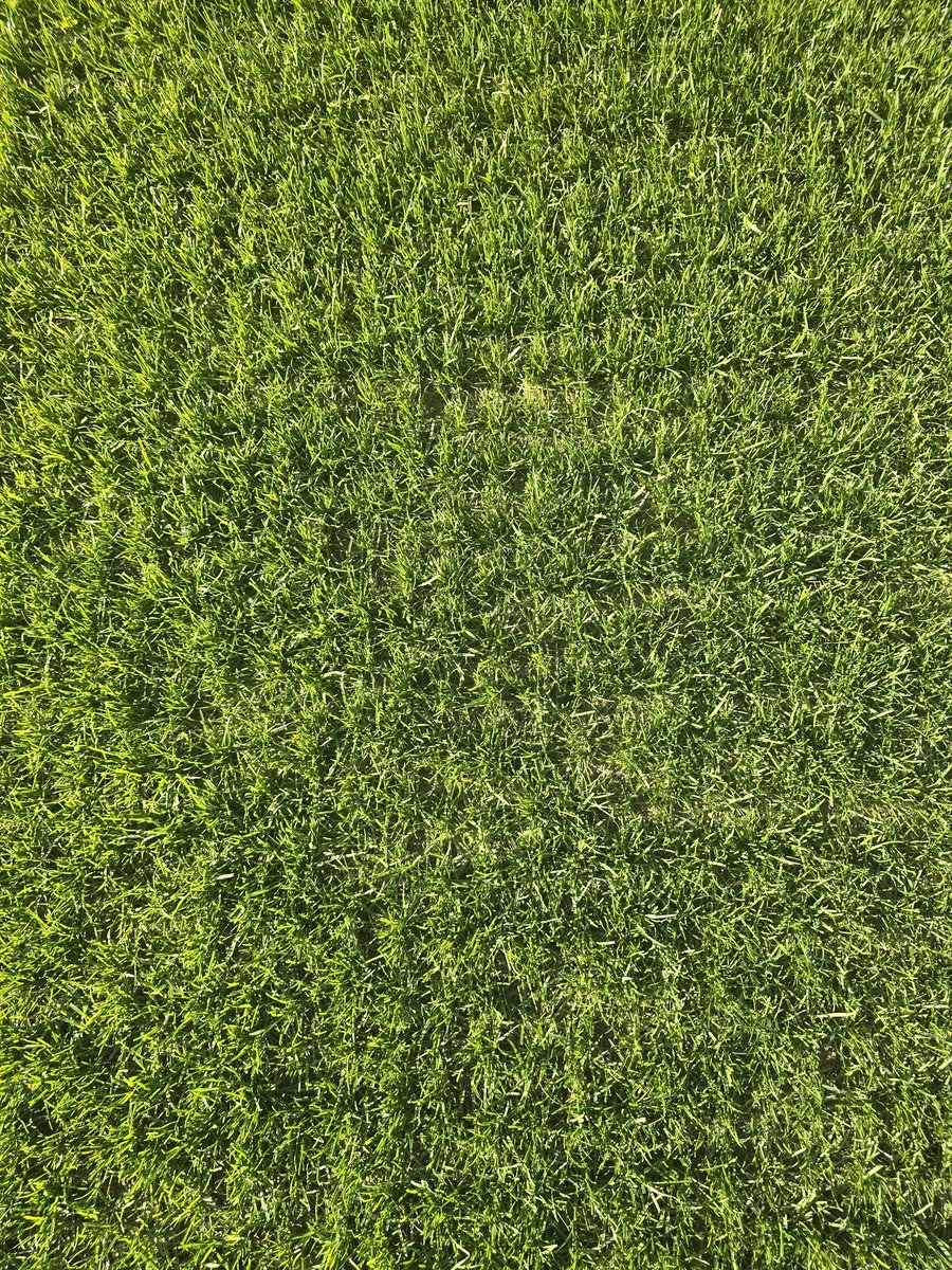 FLexGrass tweet media