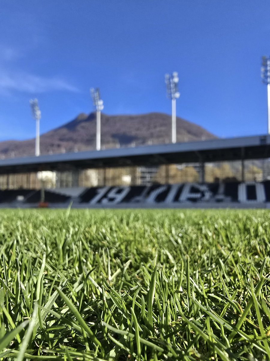 FLexGrass tweet media