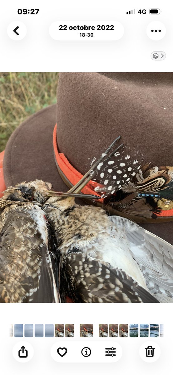 Ces passées palpitantes ! La Brenne est un lieu unique surtout cet étang . L’attente des oiseaux 🦅 tous les sens en éveil !! La vue l’audition !!! La nuit qui tombe doucement jusqu’à la quête du graal ♥️♥️ qui est rare ..))) . #chassepartage . Passion sauvagine