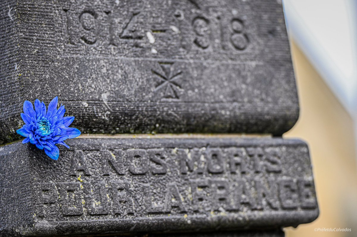 Image de Préfet du Calvados