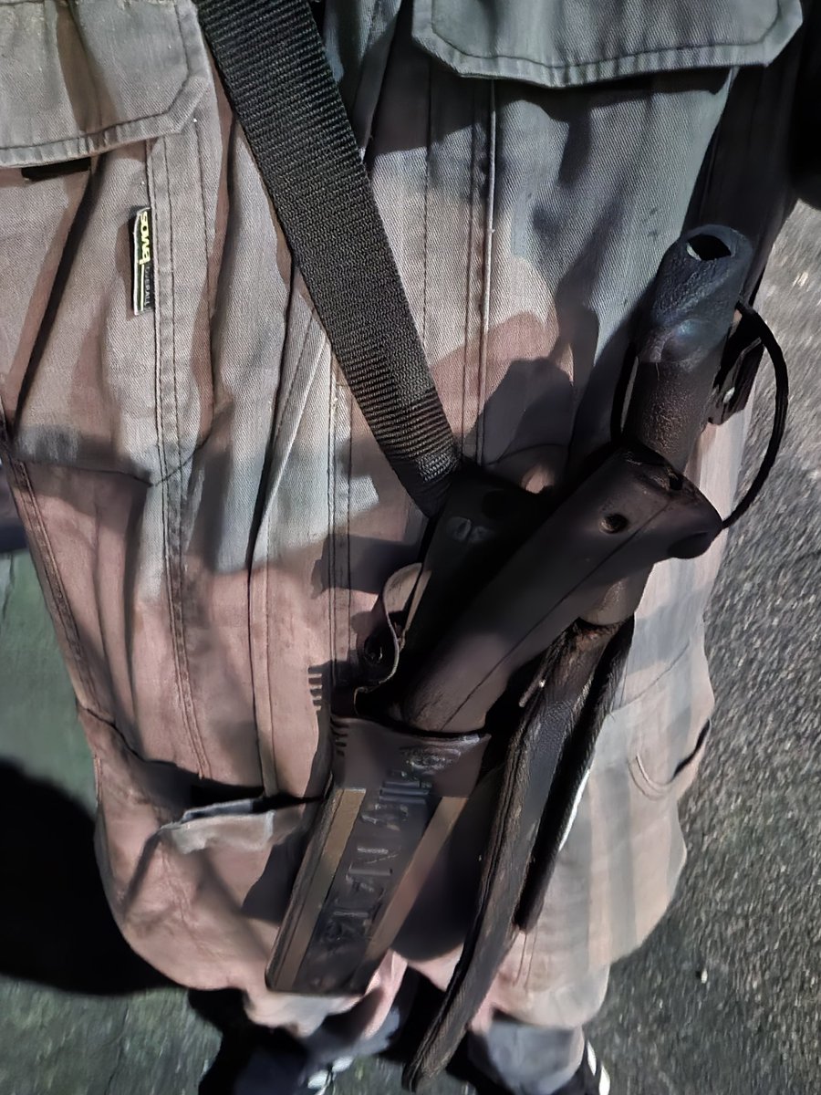 ゴリラ (@GTS929) / Posts / X