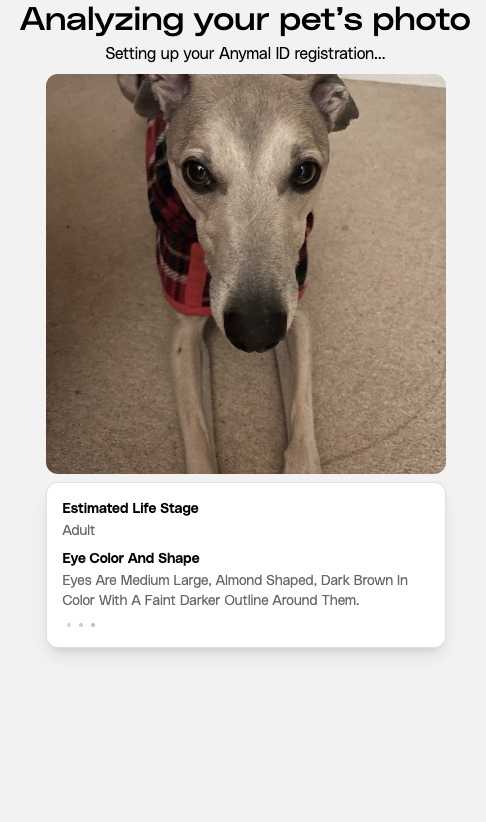 Petastic tweet media