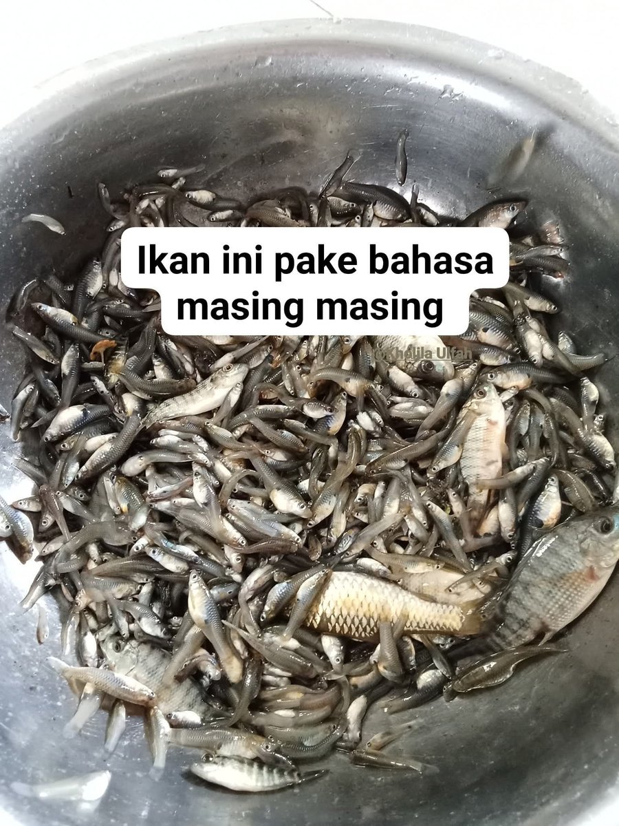 Ketawa itu GRATIS 🛩 tweet media