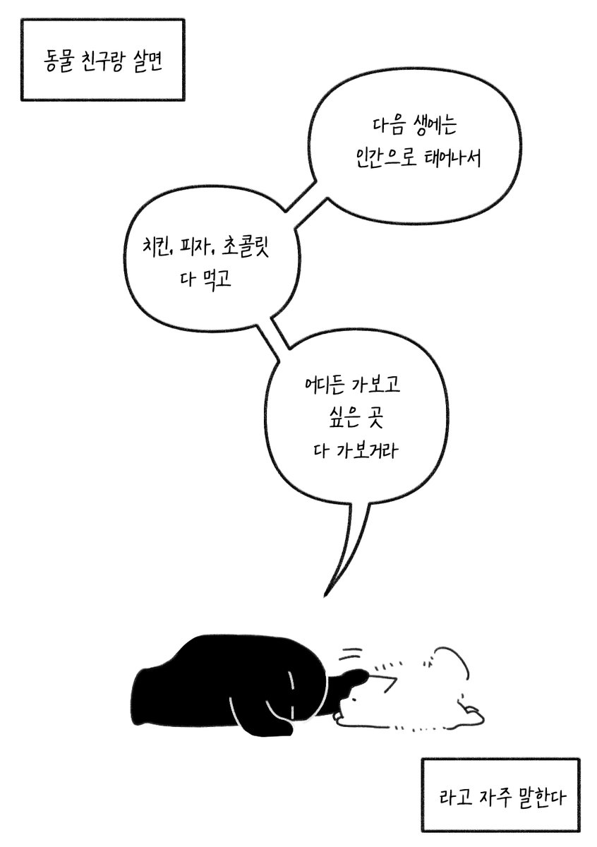 sing_sang_ss0ng's tweet photo. 보고픈 강아지 https://t.co/TLVHGf6aot