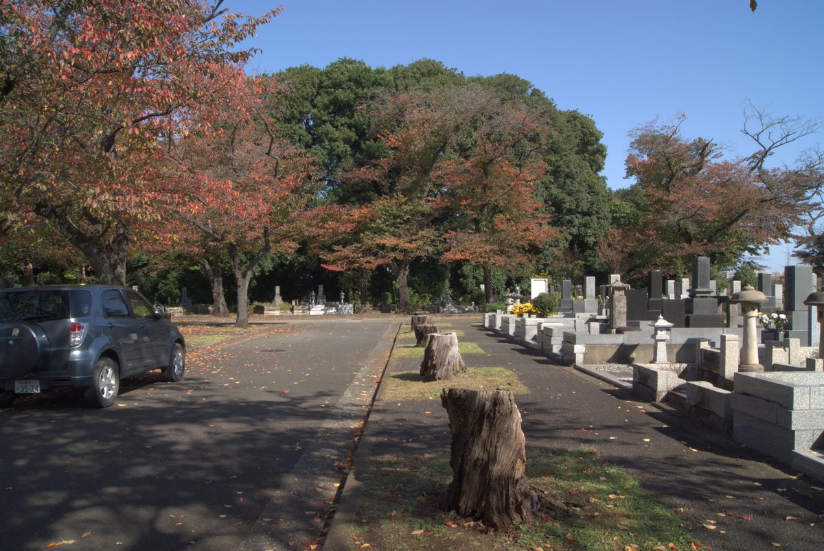 koyatenn@LaserDisc Digital Archive Project💿📂 on X