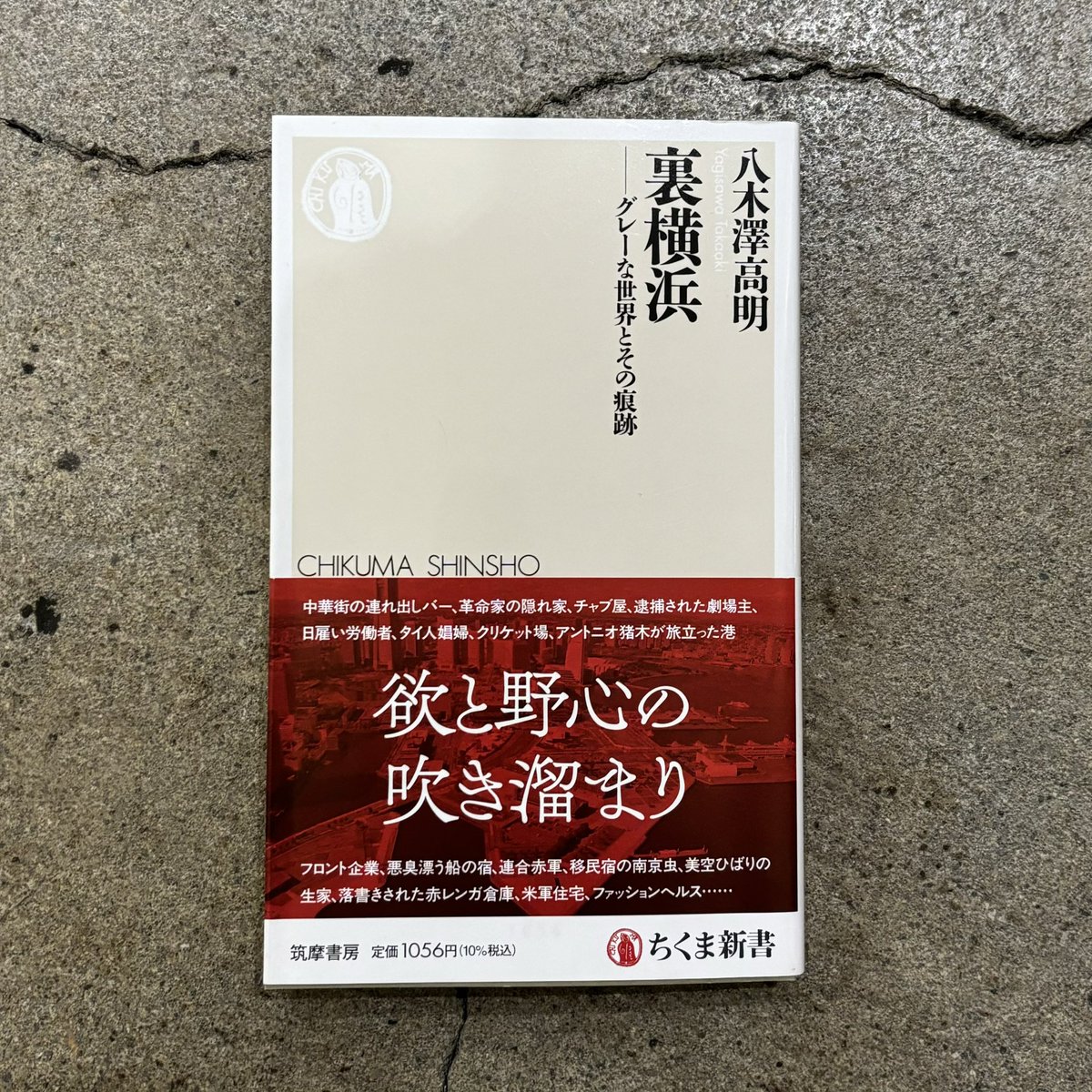 stacksbs's tweet photo. 横浜出身のノンフィクションライター・八木澤高明さんの『裏横浜』が入荷。港町として多様な文化を受け入れてきた豊かさと、その裏側で見過ごされてきた暗い過去にも光を当てています。横浜が全く違って見えてきます。 https://t.co/RHiNrVdKqY