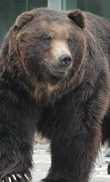 志茂田景樹 on X