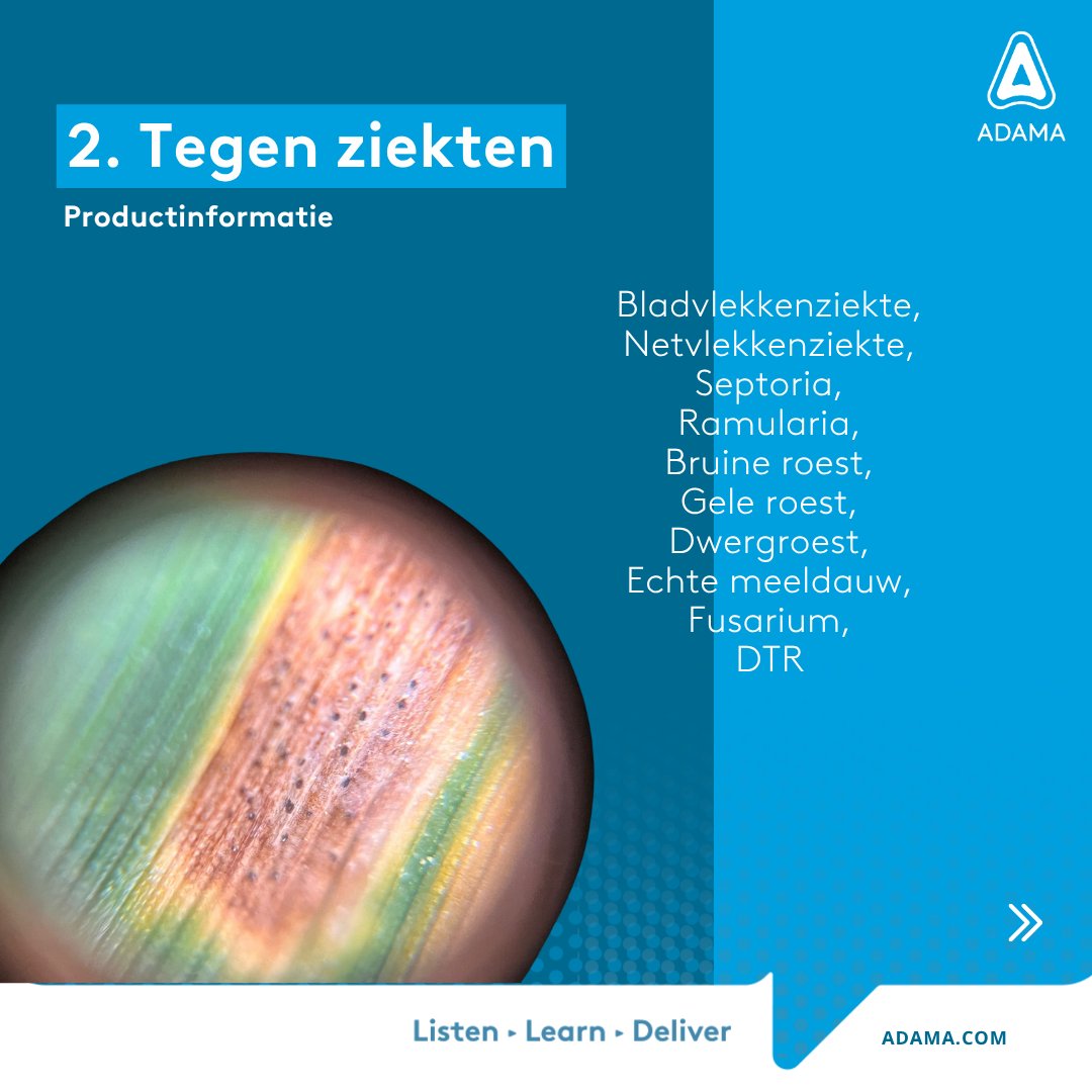 Adama_NE's tweet photo. 📢 Nieuw in Nederland: AVASTEL®

Met trots kondigen we aan dat AVASTEL® is goedgekeurd voor gebruik in granen! 
👉 Meer weten over deze krachtige toevoeging op ons portfolio? Ontdek het hier https://t.co/qFL0nuBZfc https://t.co/x6jTbQlcnd