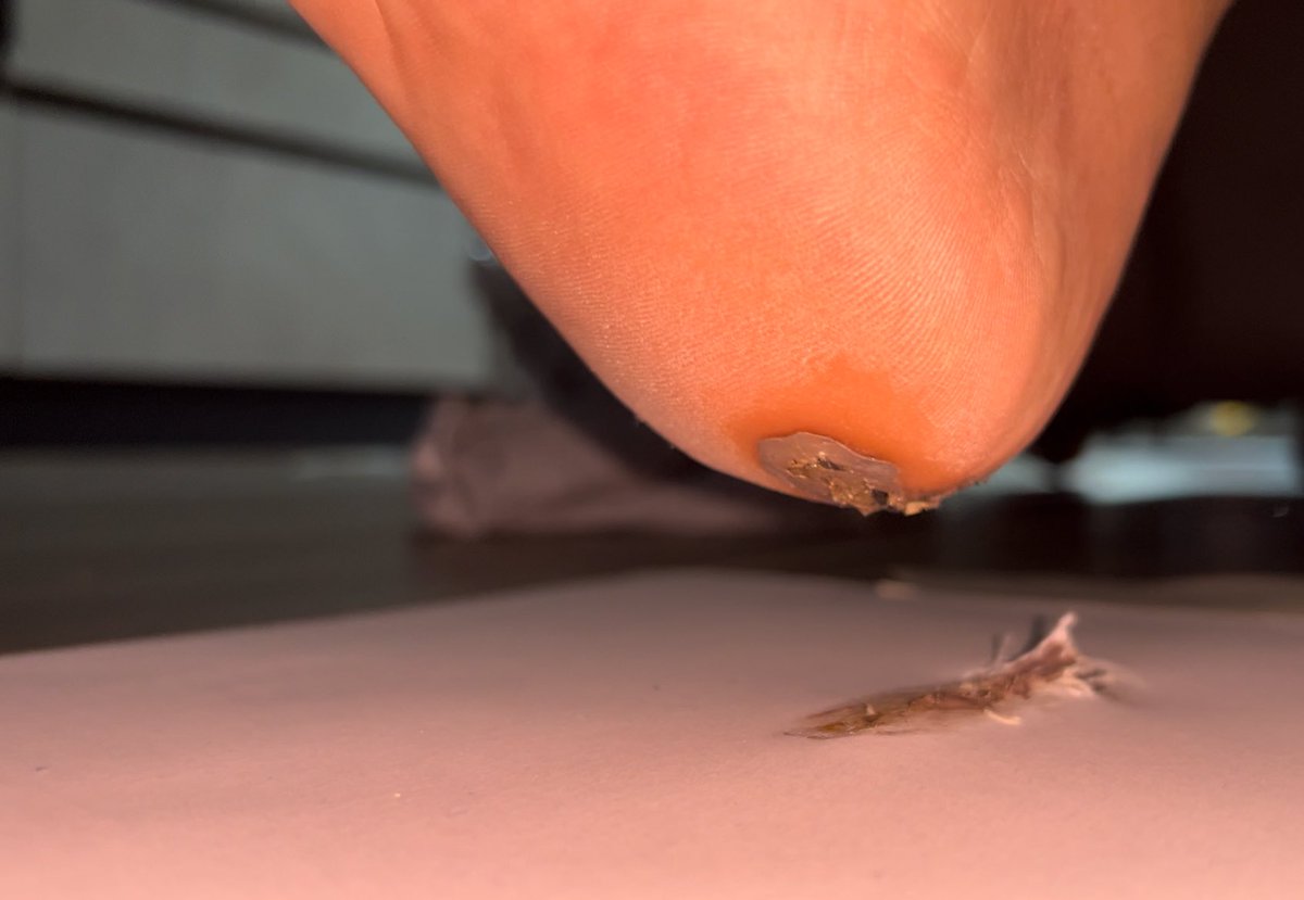 Italian Girlfriend tweet media