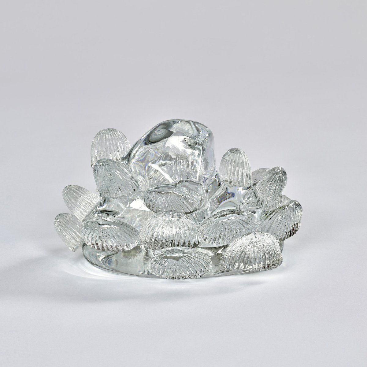 ShugoArts tweet media