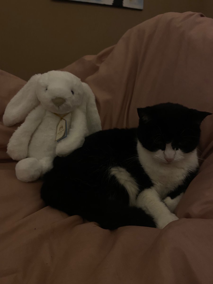 mills 𑣿 tweet media