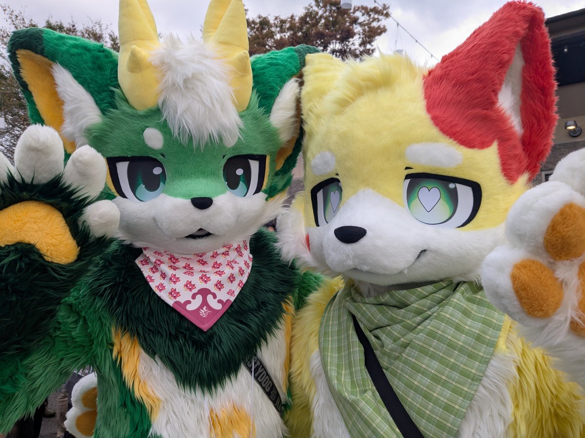 耳くっついてるのかわよき
  #kemocon18