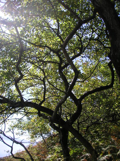 Eadha Enterprises tweet media