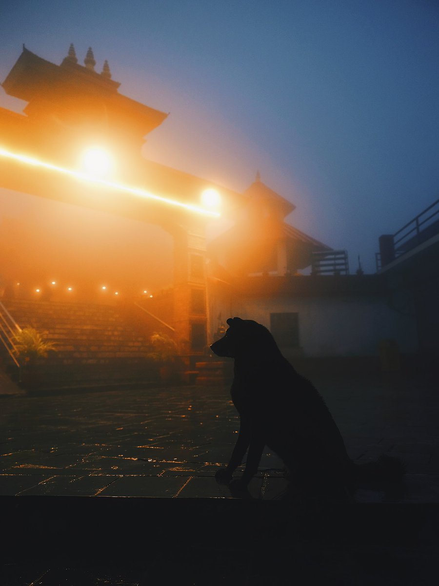 Natsuho Yamanaka tweet media