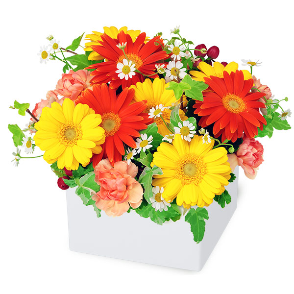 誕生日】11月はガーベラを贈ろう🌼 明るいビタミンカラーが元気をくれ