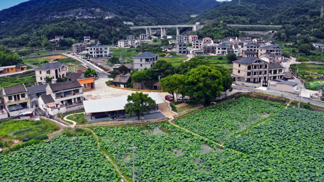 DaishanVibes's tweet image. Dinghai&apos;s Siqian Village is rich in marine #culture and natural landscapes. In our efforts to build the countryside of the future, we’ve prioritized ecological protection and achieved remarkable results. 🌱#nature