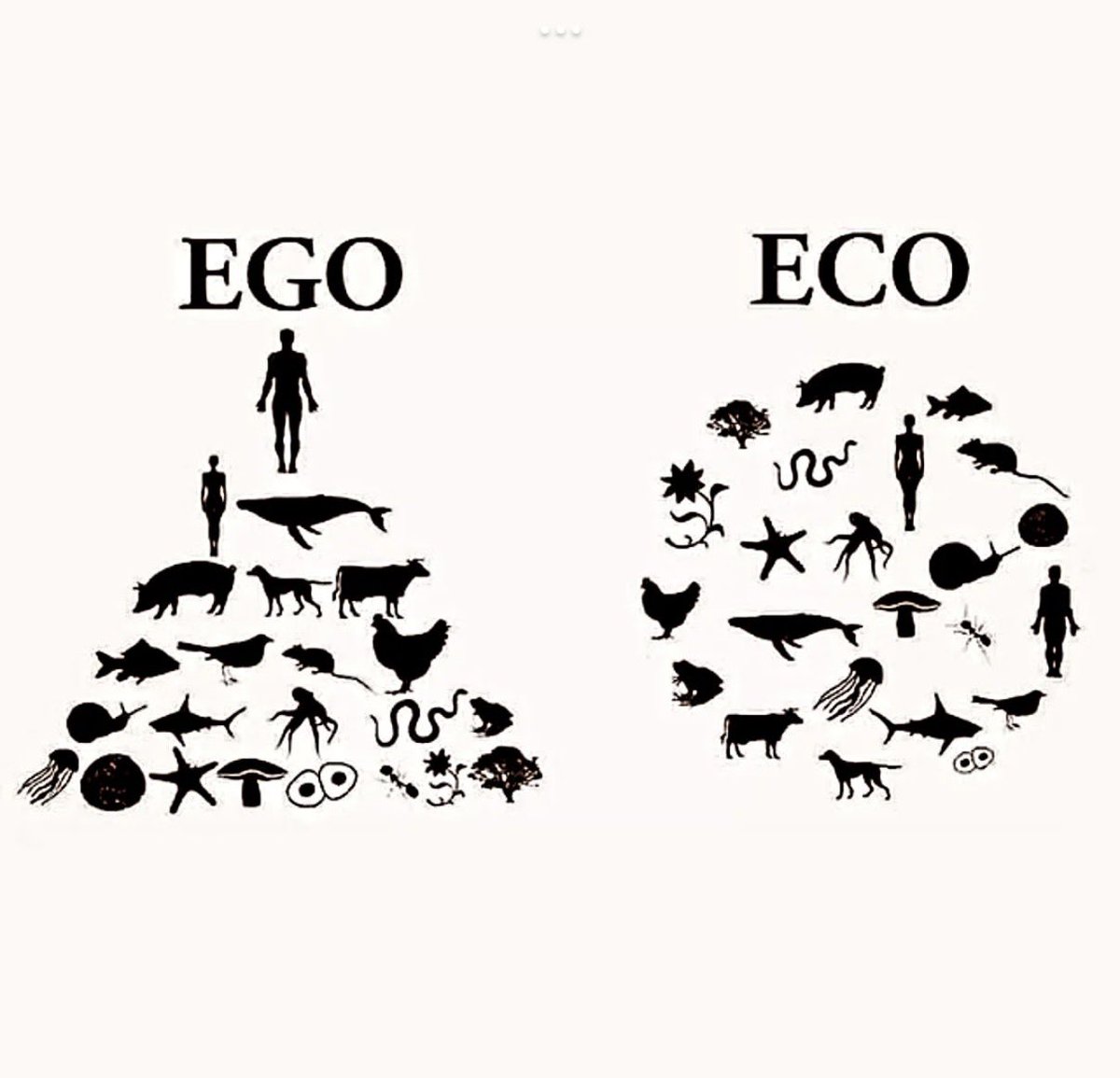 EGO vs. ECO