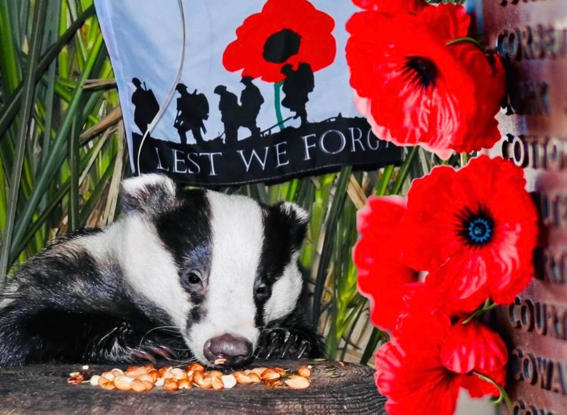 Mr Lumpy & Friends tweet media