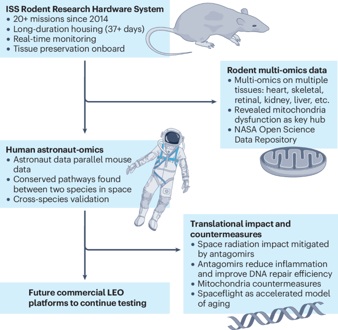 natrevbioeng's tweet image. From rodents on the ISS to humans in commercial LEO bit.ly/47V39Jy