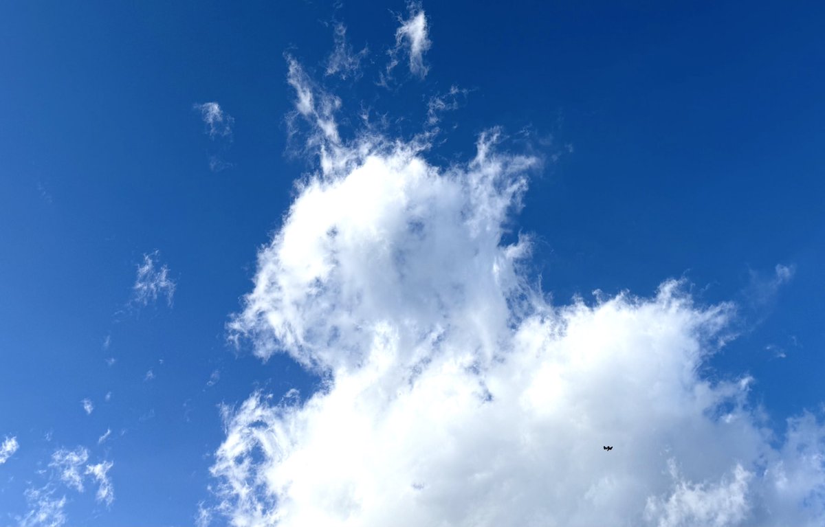 若尾さんみたいな雲を見つけて笑っちゃった