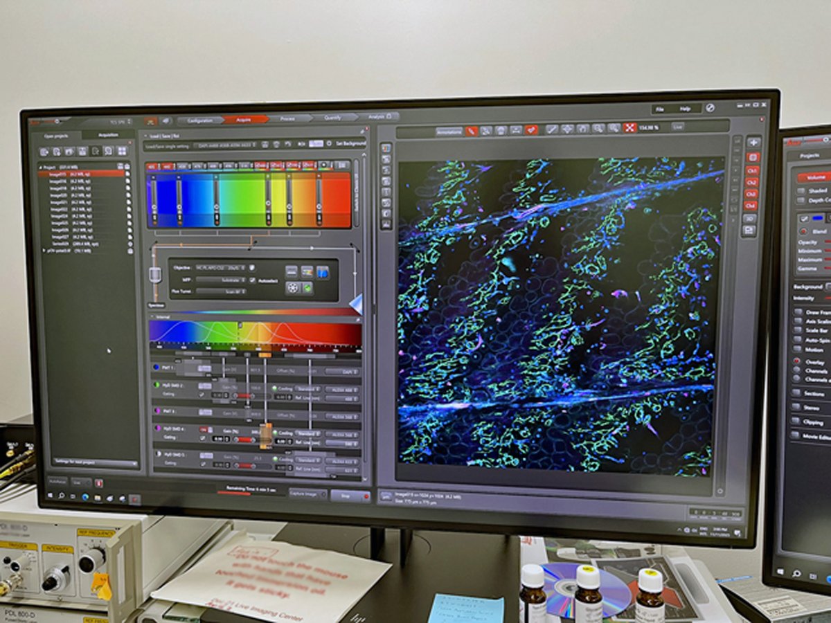 zebrafish_adam8's tweet image. ５年以上ぶりのSP8。ゼロからの条件設定はしんどかったけど、勘は鈍ってないような気がする。