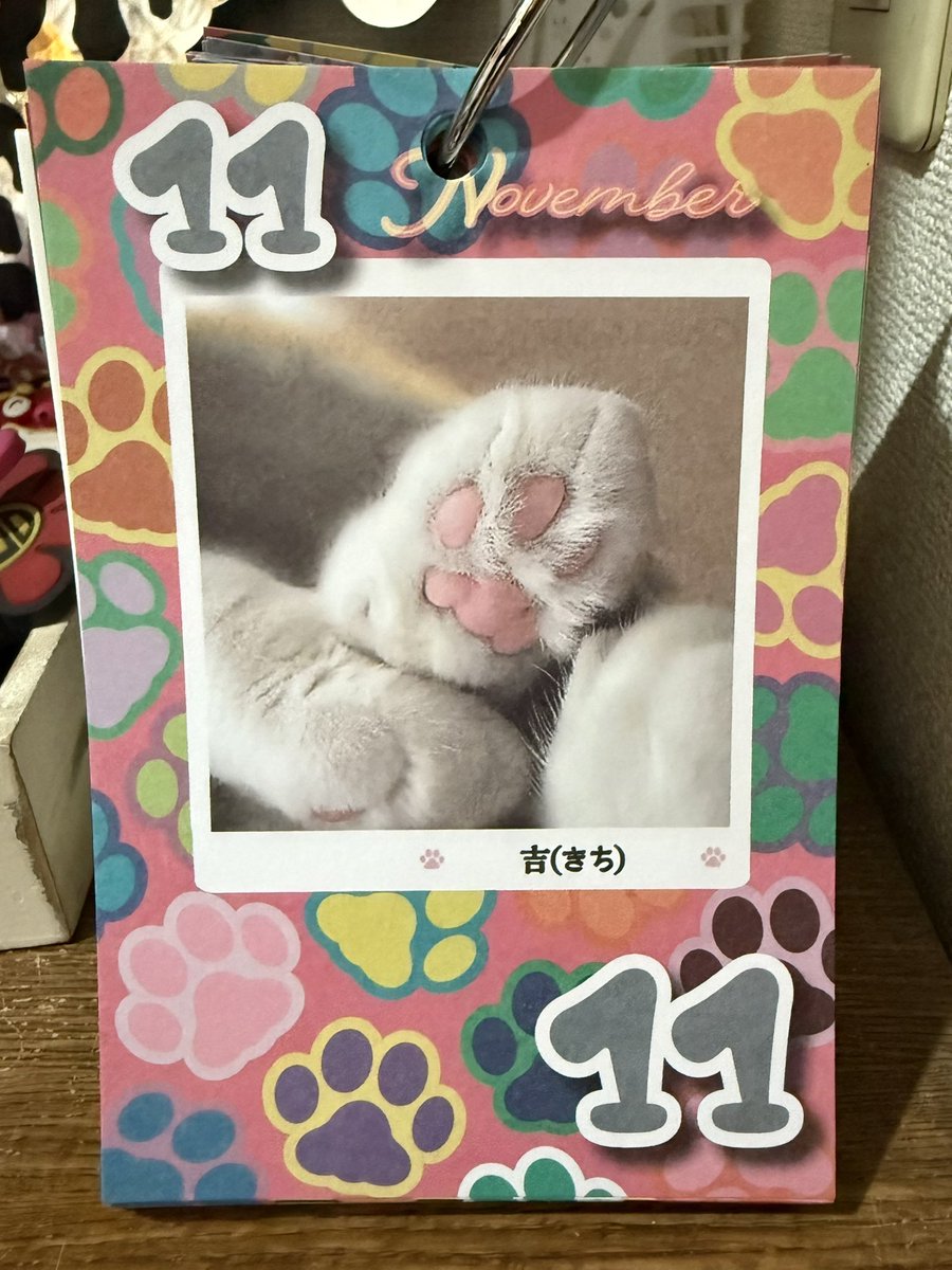 サットちゃん専用ページ❤︎ サトーちゃん😁👍✨️ (@satosyachou) / Posts / X