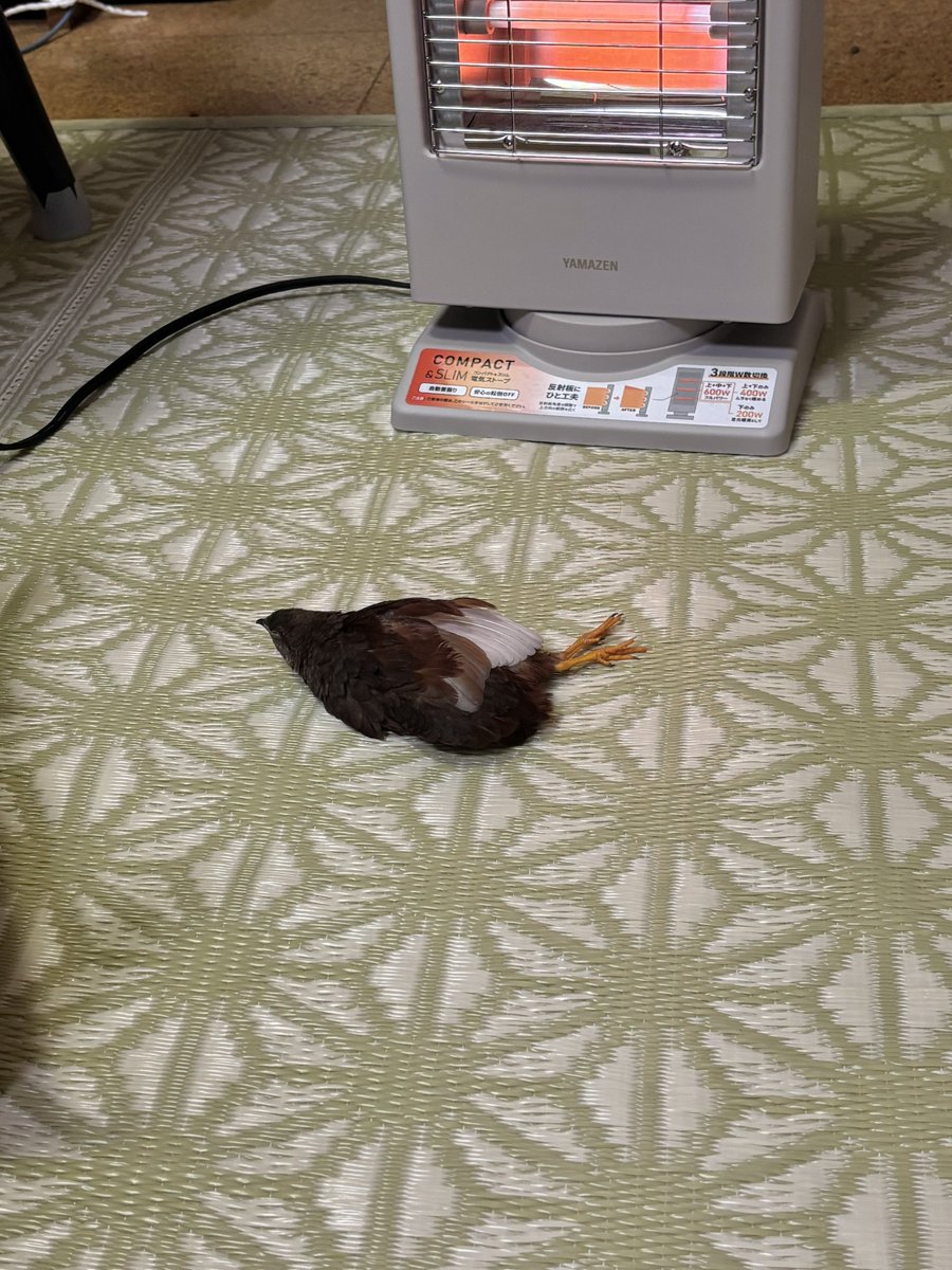 bnzm_j's tweet image. 