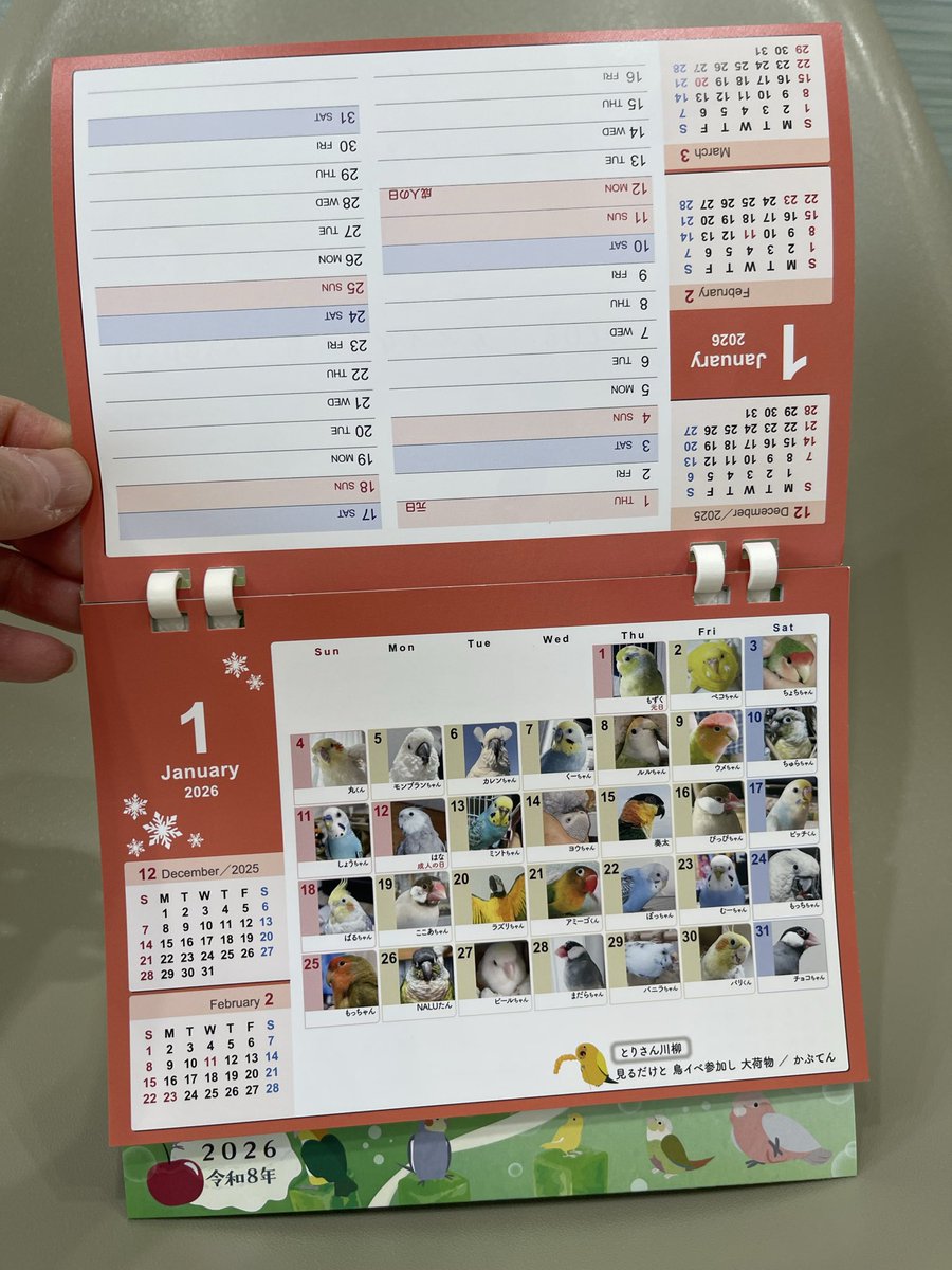 SBCforDisaster's tweet photo. 当院患者さまへの平和なお知らせです。
『鳥どりカレンダー2026 』入荷しました！
販売利益は全てNPO法人TSUBASAに寄付されます。当院では発送はしておりませんので、発送ご希望の方は楽天市場のCAP！様よりご購入下さい。 https://t.co/VKfBGhZWUa