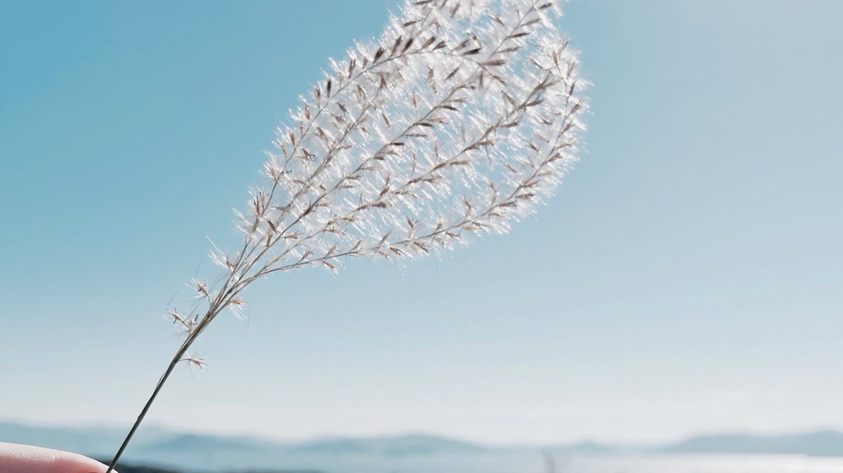 𝘺𝘶𝘺𝘶 (@yuyu99s) / Posts / X