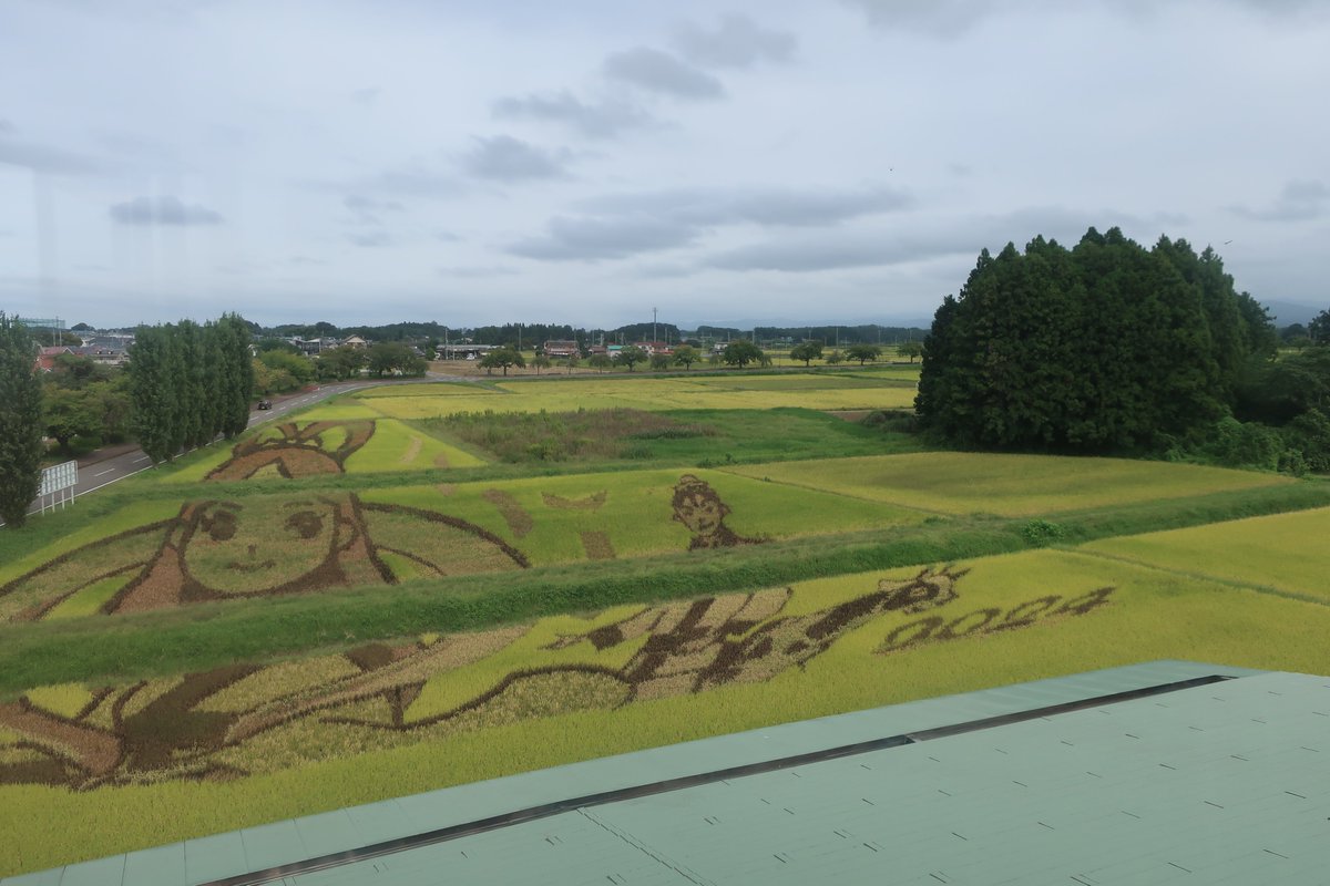 librarywalkerjp's tweet photo. 連載第244回目（本日2025.11.11.掲載）でご紹介したのは福島県の鏡石町図書館。デザイン的には「展望塔がある図書館」ですが、ここの売りはおそらく日本で唯一と言っていいかもな館内からの絶景。隣の池から見れば水鏡図書館でもあるキャラ立ちまくり館。 #図書館 #旅行 #田んぼアート #福島県 #鏡石町 https://t.co/1bL2hGOZjt