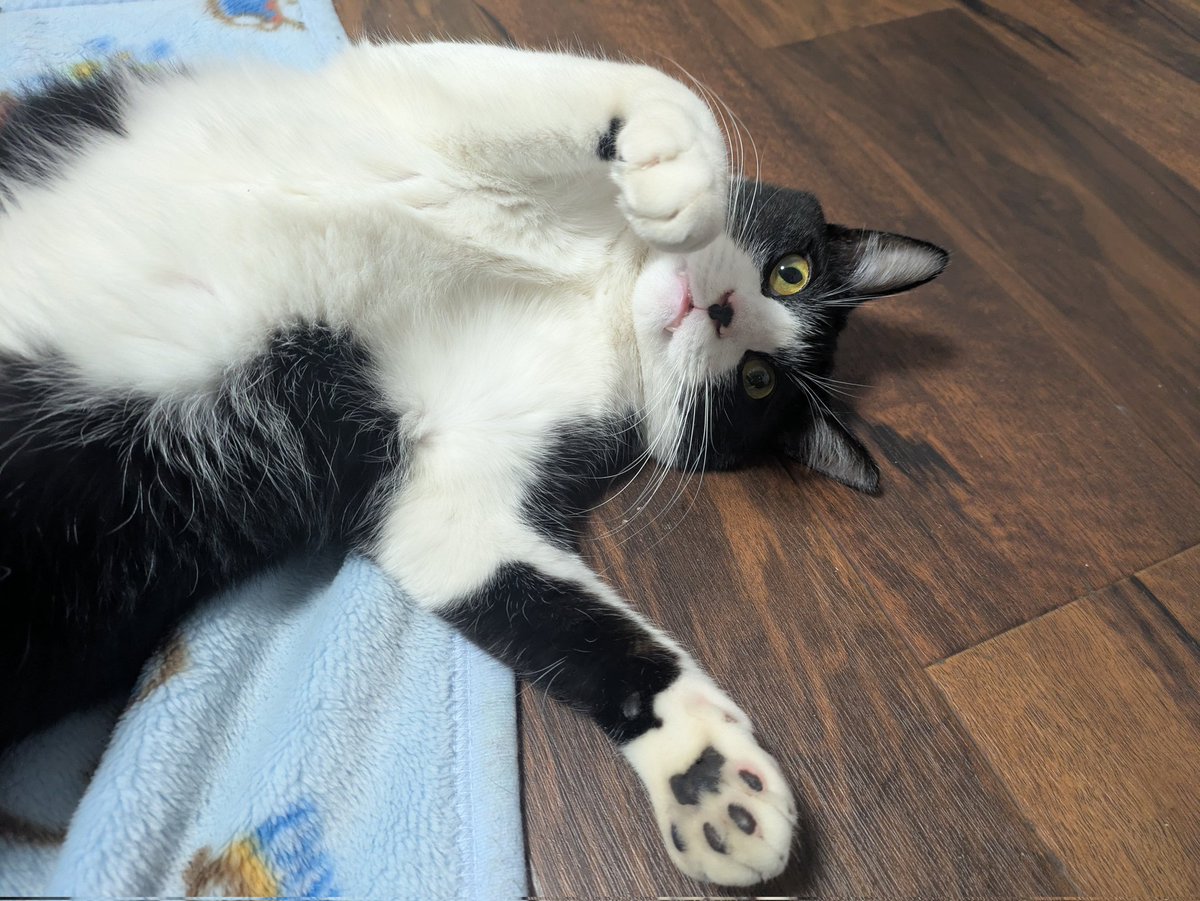 なんだコラ！やんのか？