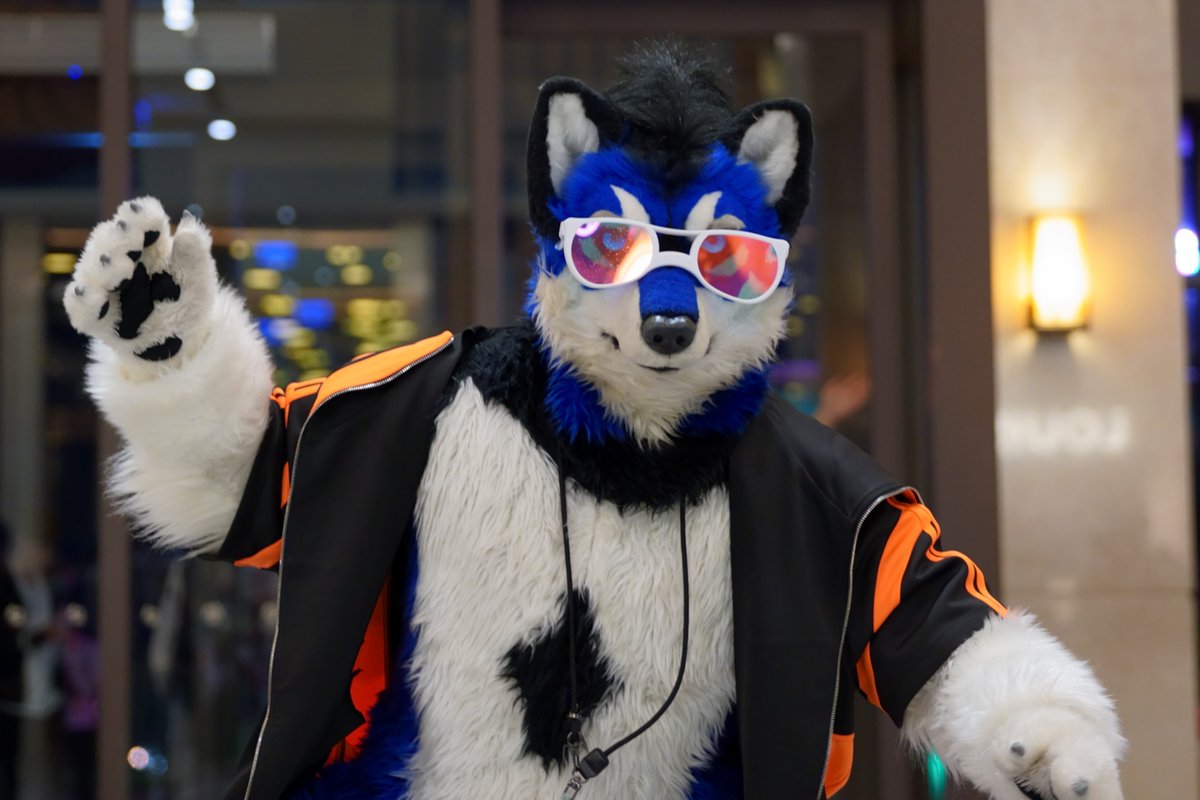 帕連克Palenque tweet media