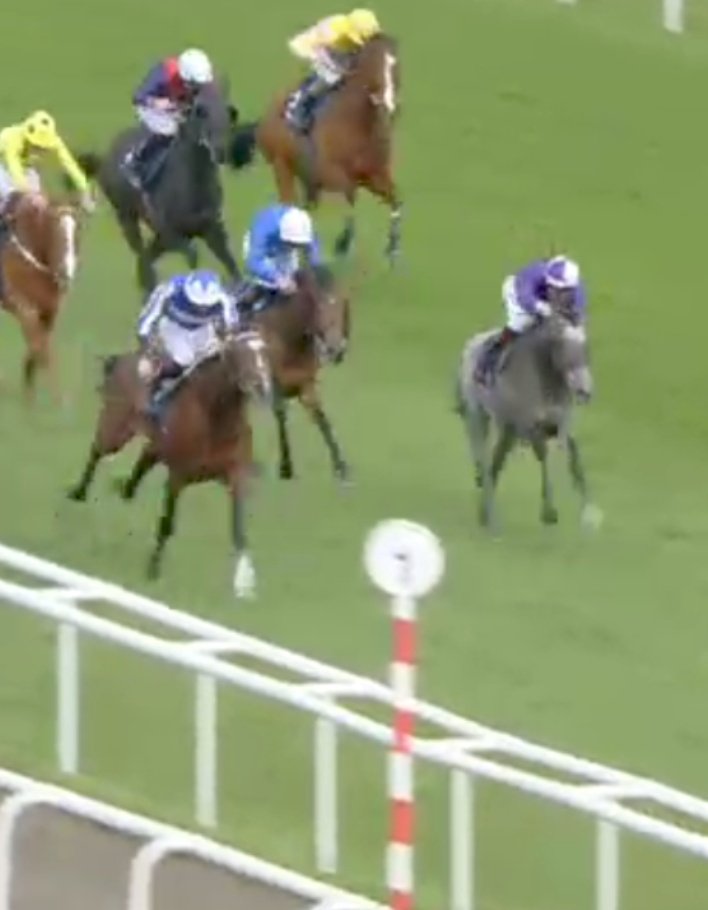 SQUARE NECKER intriguing entry Friday <a href="/DundalkStadium/">Dundalk Stadium</a> <a href="/BarOneRacing/">Bar One Racing</a>
maiden ex Ralph Beckett now Robson De Aguiar's first runner
<a href="/amoracingltd/">Amo Racing</a> 🟣⚪
Punted on debut 7/2 to 6/4 3rd to subsequent winners at Doncaster in March, who are now rated 100 &amp; 85 respectively 
#Dundalk