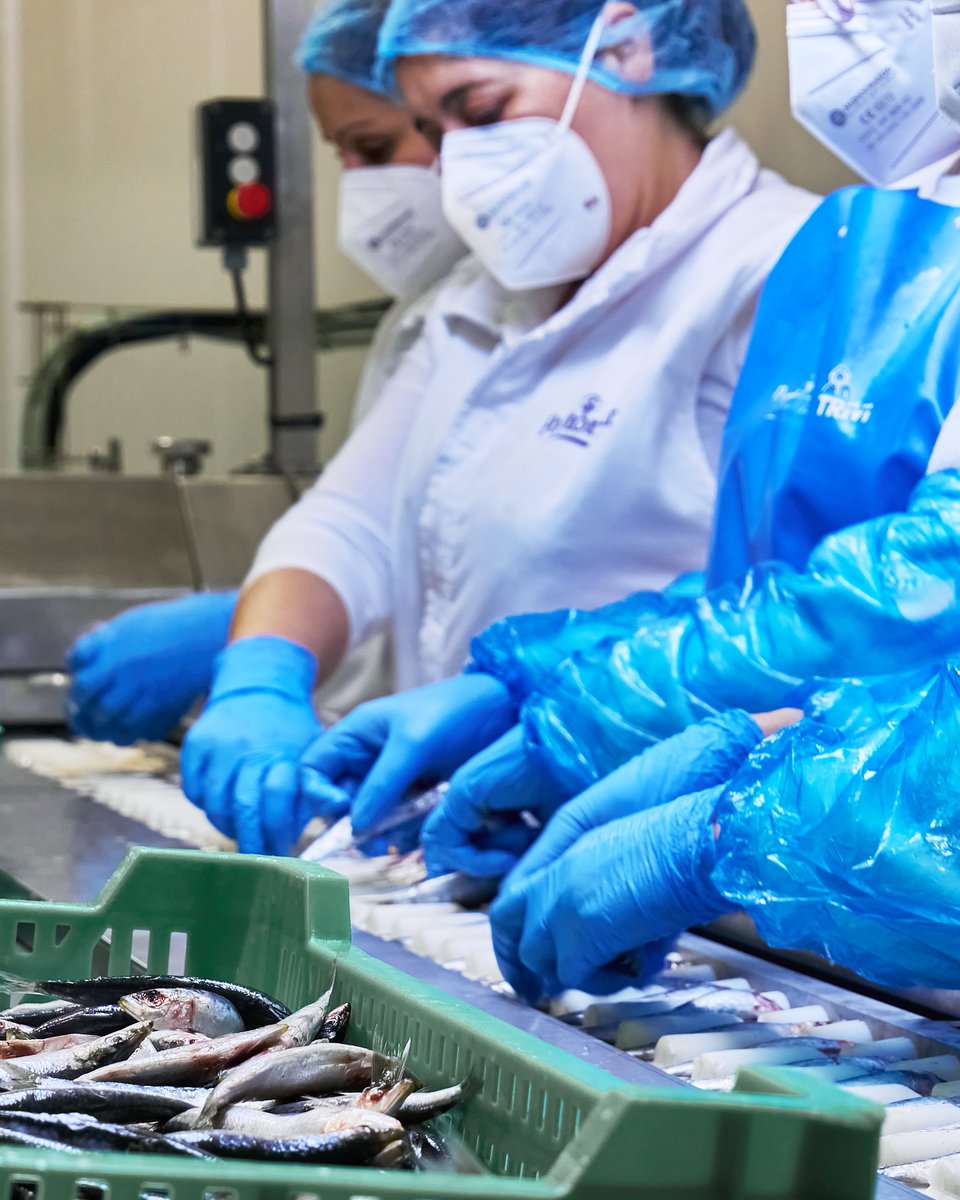 🐟 Sardinilla a sardinilla... Cada una pasa por manos expertas en un proceso artesanal, fiel a la calidad, la sostenibilidad y el origen.

#Portomar #ConservasPortomar